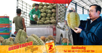 ថៃ ជោគជ័យលើការនាំចេញទុរេនក្នុងឆ្នាំនេះ ត្រឹមពេល ៥ខែនាំចេញទុរេនបានជាង កន្លះលានតោន