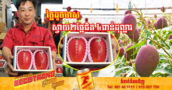 មកស្គាល់ពូជស្វាយ ១ប្រភេទរបស់ជប៉ុន ត្រឹមតែ ២ផ្លែ ដាក់ដេញថ្លៃលក់ក្នុងតម្លៃជិត ៤ពាន់ដុល្លារ