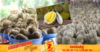 ក្រុមហ៊ុន ១ ដែលបង្កើតដោយកូនខ្មែរ មានសមត្ថភាពនាំចេញសាច់ទុរេនជាង ១២០តោនទៅទីផ្សារចិនក្នុងឆ្នាំនេះ ហើយរំពឹងថាការនាំចេញនឹងកើនដល់ ៥០០តោននៅឆ្នាំក្រោយ