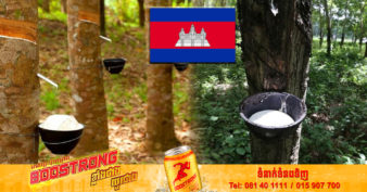 ឆមាសទី១ ឆ្នាំនេះ កម្ពុជានាំចេញកៅស៊ូជាង ១៣ម៉ឺនតោន ទទួលចំណូលបាន ២១៥លានដុល្លារ