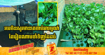 ប្លែកខុសពីគេឯង! កសិករខ្មែរម្នាក់ ចាយទុន ៥០០ដុល្លារចាប់របរចិញ្ចឹមពស់លក់ទៅវៀតណាម ល្បីដល់សារព័ត៌មានក្រៅស្រុក