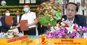 ក្រុមហ៊ុនចិនមួយ ព្រមព្រៀងទិញផ្លែមៀនប៉ៃលិនក្នុងតម្លៃជាក់លាក់ ចាប់ពី៣៣០០ ទៅ៤៥០០រៀល ក្នុងមួយគីឡូក្រាម