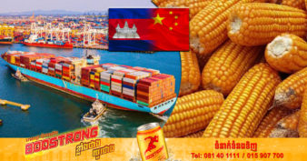 ដំណឹងល្អ! ចិន អនុញ្ញាតឱ្យកម្ពុជានាំចេញពោតចូលទីផ្សាររបស់ខ្លួនដោយផ្ទាល់ជាផ្លូវការហើយ