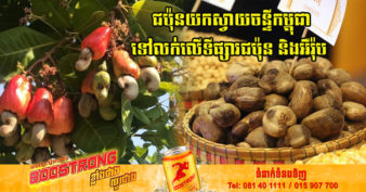 មន្ទីរកសិកម្មខេត្តព្រះវិហារ ស្នើឱ្យសហគមន៍កសិកម្មទាំង ១២ដាំស្វាយចន្ទី តាមបច្ចេកទេស ខណៈក្រុមហ៊ុនជប៉ុន ២ សន្យាទិញយកទៅទីផ្សារជប៉ុន និងអឺរ៉ុប
