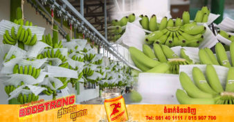 ក្រសួងកសិកម្ម៖ ៧ខែ ឆ្នាំ២០២២នេះ ការនាំចេញចេកស្រស់របស់កម្ពុជាទៅកាន់ទីផ្សារអន្តរជាតិធ្លាក់ចុះ