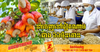 កម្ពុជាទទួលបានចំណូលជាង ១ពាន់លានដុល្លារ ពីការនាំចេញគ្រាប់ស្វាយចន្ទីជាង ៦៦ម៉ឺនតោនទៅវៀតណាម