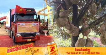 វៀតណាម នាំ​ចេញ​ទុរេន​ស្រស់១០០​តោន​ជា​ផ្លូវ​ការ​ទៅ​ប្រទេស​ចិនជាលើកដំបូង