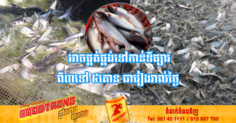 ល្អមែនទែន! កសិដ្ឋានចិញ្ចឹមត្រីប្រាកូនខ្មែរ ១កន្លែង អាចផ្គត់ផ្គង់ត្រីរាប់តោនទៅកាន់ទីផ្សារជារៀងរាល់ថ្ងៃ ដើម្បីកាត់បន្ថយការនាំចូលពីក្រៅប្រទេស