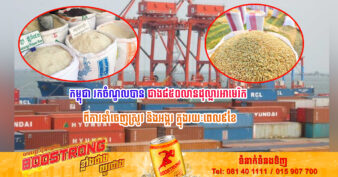 កម្ពុជា រកចំណូលបានជាង៨៥០លានដុល្លារអាមេរិក ពីការនាំចេញស្រូវ និងអង្ករ ក្នុងរយៈពេល៩ខែ