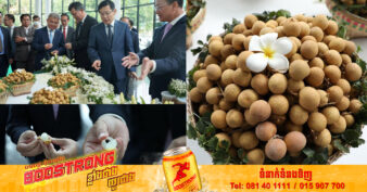 កម្ពុជា ចាប់ផ្តើមនាំចេញផ្លែមៀនស្រស់ ទៅកាន់ទីផ្សារប្រទេសចិន