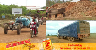 កសិករនៅស្រុកថាឡាបរិវ៉ាត់ ខេត្តស្ទឹងត្រែងនិយាយពី តម្លៃដំឡូងមីធ្លាក់ថ្លៃនៅខែតុលានេះ