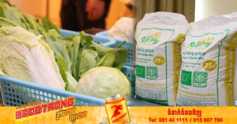 ក្រុមហ៊ុនធំចំនួន២ បន្ដចុះកិច្ចសន្យាបញ្ជាទិញស្រូវសរីរាង្គពីសហគមន៍កសិកម្មចំនួន១០នៅខេត្តព្រះវិហារ លើបរិមាណ២៥០០តោននៅឆ្នាំនេះ