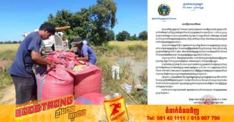 ក្រសួងកសិកម្ម ចាត់បញ្ជូនមន្ត្រី ចុះទៅពិនិត្យរកដំណោះស្រាយ ក្រោយធ្លាក់ចុះនៃថ្លៃស្រូវនៅខេត្តបាត់ដំបង និងខេត្តបន្ទាយមានជ័យ