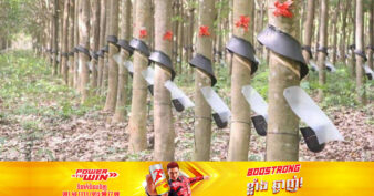 កម្ពុជា​ រកចំណូលបាន ៤៦៥​លាន​ដុល្លារ​ពី​ការ​នាំ​ចេញ​កៅស៊ូ ​ក្នុង​រយៈពេល១១​ខែ