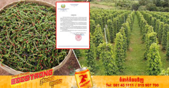 ក្រសួងកសិកម្ម ជូនដំណឹងដល់ម្ចាស់ចម្ការ រោងចក្រកែច្នៃ និងវេចខ្ចប់ម្រេច រួសរាន់ដាក់ពាក្យស្នើសុំចុះបញ្ជីចម្ការ ដើម្បីនាំចេញម្រេចជាផ្លូវការទៅចិន