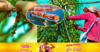 កម្ពុ​ជាមាន​ប្រពៃណី​ជាង ៧០០​ឆ្នាំ មកហើយ​ក្នុង​ការដាំដុះ​ម្រេច ហើយធ្លាប់បាននាំចេញរហូតដល់ ៨ពាន់តោនក្នុងមួយឆ្នាំ