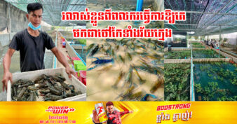 អតីតពលករនៅកូរ៉េ ប្រកបរបរចិញ្ចឹមបង្កងអូស្ត្រាលី រកចំណូលបានប្រមាណជាងមួយម៉ឺនដុល្លារក្នុងមួយឆ្នាំ