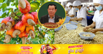 សម្តេចតេជោ ហ៊ុន សែន៖ កម្ពុជាអាចក្លាយជាអ្នកខ្លាំងមួយនៅក្នុងចំណោមអ្នកខ្លាំងក្នុងការចែកចាយគ្រាប់ស្វាយចន្ទីទៅកាន់ពិភពលោក