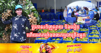 ដំណឹងល្អ! អភិបាលខេត្តប៉ៃលិន ប្រកាសទិញផ្លែស្វាយ និងផ្លែមៀនជាច្រើន ដោយបងប្អូនកសិករអាចទាក់ទងតាមលេខ ២ខ្សែនេះ