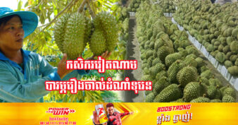 ក្រសួងកសិកម្មវៀតណាម ព្រមានកសិករថា ការនាំគ្នាដាំទុរេនច្រើនពេក នឹងជំរុញឱ្យការផ្គត់ផ្គង់លើសតម្រូវការ