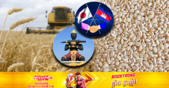 ដំណឹងល្អ! ស៊ីម៉ាក់ និងជប៉ុន គ្រោងផលិតស្រូវសាលី នៅខេត្ដបាត់ដំបង សម្រាប់នាំចេញក្រៅស្រុក និងផ្គត់ផ្គង់ក្នុងស្រុក!