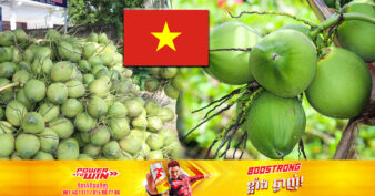 មិនធម្មតា! វៀតណាម កំណត់គោលដៅរកចំណូលឱ្យបាន ១ពាន់លានដុល្លារពីការនាំចេញដូង និងផលិតផលច្នៃពីផ្លែដូង