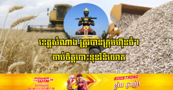 ខេត្តបាត់ដំបង ឡើងកូតស្រឺតៗ ខណៈក្រុមហ៊ុនចិន និងជប៉ុន ជ្រើសរើសជាទីតាំងផលិតកសិផលដើម្បីនាំចេញទៅក្រៅប្រទេស