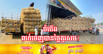 គំនិតល្អមែន! ប្រជាកសិករក្នុងខេត្តបាត់ដំបងបានចាប់ផ្តើមមុខរបរមួរចំបើងដែលអាចរកចំណូលបន្ថែមបាន
