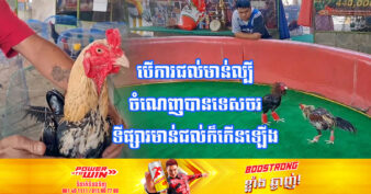 រដ្ឋាភិបាលថៃ​ ជំរុញ​ឲ្យ​មានការផ្សព្វផ្សាយ “ល្បែងជល់​មាន់”​ ដើម្បី​ទាក់ទាញ​ភ្ញៀវ​ទេសចរបរទេស