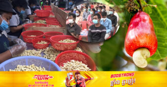 ស្រុះដៃគ្នាណាស់! ក្រុមអ្នកដាំស្វាយចន្ទីនៅខេត្តមួយ ចែករំលែកបទពិសោធន៍គ្នា ដើម្បីចូលរួមជំរុញឱ្យកម្ពុជាក្លាយជាប្រទេសនាំចេញស្វាយចន្ទីច្រើនជាងគេលើពិភពលោក