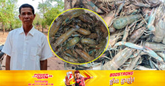 ផ្ដើមពីការចិញ្ចឹមបង្កង ៣០ក្បាល រហូតជោគជ័យពង្រីកស្រះជាបន្តបន្ទាប់ កសិករម្នាក់ ចែករំលែកបទពិសោធន៍បន្តដល់ពលរដ្ឋក្នុងសហគមន៍ឱ្យជោគជ័យដូចខ្លួនដែរ