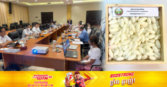 ក្រសួងកសិកម្ម ចាប់ដៃគ្នាជាមួយមជ្ឈមណ្ឌលកសិកម្មអន្តរជាតិកូរ៉េ បង្កើតបានពូជដង្កូវនាងប្រភេទថ្មី ដែលមានគុណភាពល្អ ផ្ដល់ទិន្នផលខ្ពស់ ស្របទៅនឹងតម្រូវការទីផ្សារ