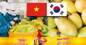 វៀតណាម ជាប់ចំណាត់ថ្នាក់លេខ ៣ ក្នុងការនាំចេញផ្លែស្វាយទៅកូរ៉េខាងត្បូង