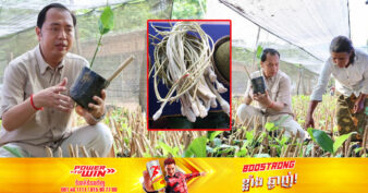 ក្រវាញខេត្តពោធិ៍សាត់ កំពុងមានតម្រូវការទីផ្សារខ្ពស់សម្រាប់យកមកបរិភោគ ហើយអាចឱ្យពលរដ្ឋរកចំណូលបានដល់ខ្ទង់ពាន់ដុល្លារនៅរដូវវស្សា