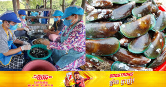 គ្រំជំពុះទា មានទីផ្សារល្អទាំងនៅក្នុង និងក្រៅប្រទេស ក្នុងមួយថ្ងៃបាននាំចេញទៅថៃពី​២០ ទៅ ៥០តោន