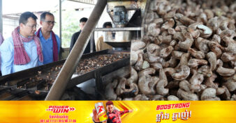 សិប្បកម្មកែច្នៃគ្រាប់ស្វាយចន្ទីនៅខេត្តកំពង់ធំ គ្រោងទិញគ្រាប់ស្វាយចន្ទីស្រស់ពីប្រជាសហគមន៍ឱ្យបានដល់ ៥ពាន់តោន នៅឆ្នាំក្រោយ