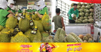 ដើម្បីប្រជែងនឹងវៀតណាម ប្រទេសថៃ កាត់បន្ថយរយៈពេលដឹកទុរេនទៅទីផ្សារចិនមកត្រឹម ៤ថ្ងៃវិញ