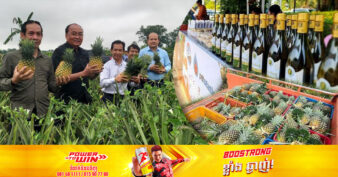 ខេត្តស្ទឹងត្រែង រៀបចំឱ្យមានសហគមន៍ម្នាស់ទឹកឃ្មុំដើម្បីផលិតភេសជ្ជៈនិងស្រា