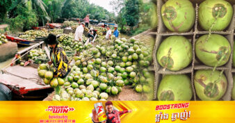 តម្លៃដូងស្រស់នៅវៀតណាមកើនឡើង ៣ដង ក្រោយលេចដំណឹងថា អាមេរិកបើកភ្លើងខៀវឱ្យវៀតណាមនាំចូល