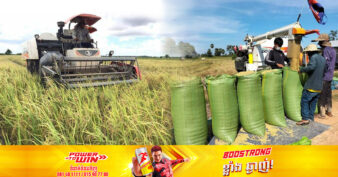 ទិន្នផលស្រូវដើមរដូវរបស់ប្រជាកសិករខេត្តព្រៃវែងមានការកើនជាងឆ្នាំមុន ហើយមានតម្លៃសមរម្យ