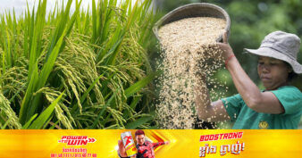 កសិករកម្ពុជាកំពុងក្លាយជាអ្នកចូលរួមចំណែកដ៏សំខាន់ក្នុងការលេីកស្ទួយសន្តិសុខស្បៀងជាតិ និងពិភពលោក