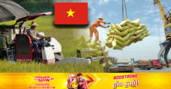 តម្លៃនាំចេញរបស់អង្ករវៀតណាម នៅតែខ្ពស់ជាងគេក្នុងពិភពលោក