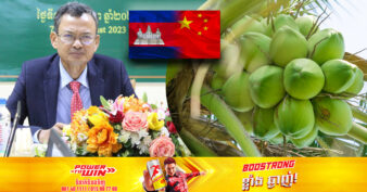 ដំណាំដូងកម្ពុជា ត្រូវបានវាយតម្លៃហានិភ័យសមាសភាពចង្រៃសម្រាប់ការនាំចេញទៅប្រទេសចិន ដោយអគ្គរដ្ឋបាលគយចិន