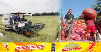 កសិករខេត្តបន្ទាយមានជ័យ សម្រុកប្រមូលផលស្រូវបង្កើនរដូវ ដែលប្រឈមទឹកលិច ខណៈតម្លៃថោកបន្តិច តែនៅខ្ពស់ជាងឆ្នាំទៅ