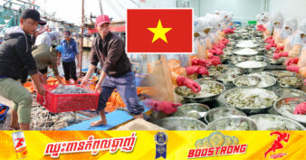 វៀតណាម ក្លាយជាប្រទេសផ្គត់ផ្គង់បង្គាធំជាងគេទី២ របស់ពិភពលោក ដោយនាំចេញទៅកាន់ប្រទេស និងដែនដីចំនួន ១០០