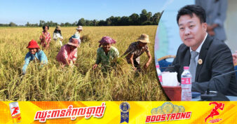 សហព័ន្ធស្រូវអង្ករកម្ពុជា អរគុណដល់កសិករទាំងអស់ដែលបានខិតខំដាំដុះ ពូជស្រូវសែនក្រអូប បានល្អ រហូតឈ្នះពានរង្វាន់មាស