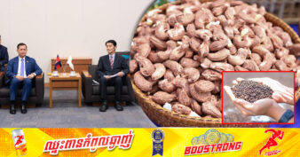 ដំណឹងល្អ! ក្រុមហ៊ុនជប៉ុន មានបំណងបង្កើនការនាំចូលគ្រាប់ស្វាយចន្ទី និងផលិតផលម្រេចបន្ថែមទៀតពីកម្ពុជា