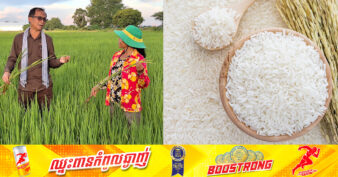 ឯកឧត្តមបណ្ឌិត យ៉ង សាំងកុមារ៖ «ការប្រើពូជសុទ្ធស្រូវផ្ការំដួល ជួយឱ្យកើនទិន្នផលងាយស្រួលលក់ និងបានតម្លៃខ្ពស់»