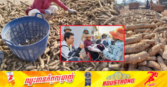 បងប្អូនសហគមន៍នៅខេត្តព្រះវិហារ សប្បាយចិត្តដោយលក់ដំឡូងមីបានក្នុងតម្លៃល្អ