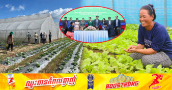 ក្រុមហ៊ុនប្រមូលទិញបន្លែចំនួន ៥ ចុះ MOU ជាមួយក្រសួងពាណិជ្ជកម្ម ដើម្បីទិញបន្លែពីកសិករដែលស្ថិតនៅក្រោមគម្រោង AIMS